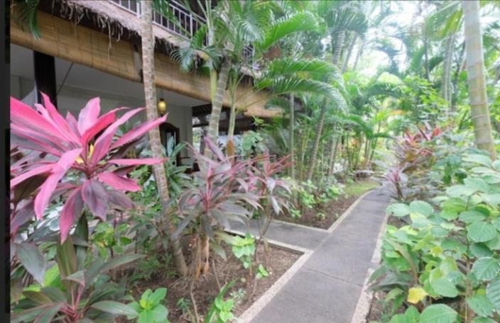 Apel Homestay Pemuteran Exterior foto